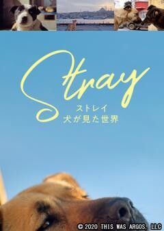 ストレイ　犬が見た世界(字幕)