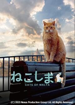 ねこしま（字幕）