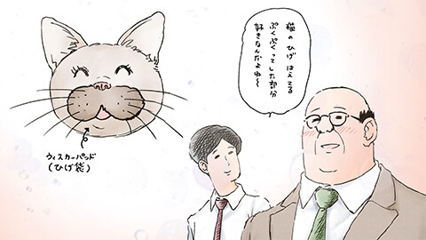 第6話 豆苗のスポンジ、パン、ぞうきんがけ他