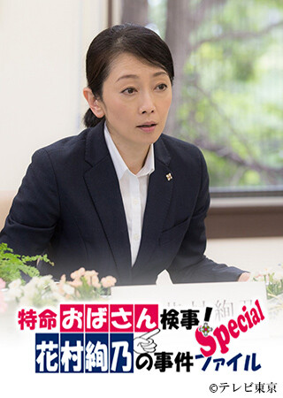 特命おばさん検事! 花村絢乃の事件ファイル スペシャル