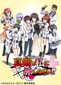 真剣で私に恋しなさい!!