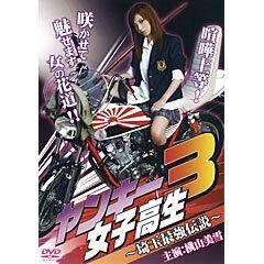 ﾔﾝｷｰ女子高生 3 〜埼玉最強伝説〜
