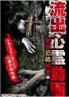 流出心霊動画 緊急恐怖映像編